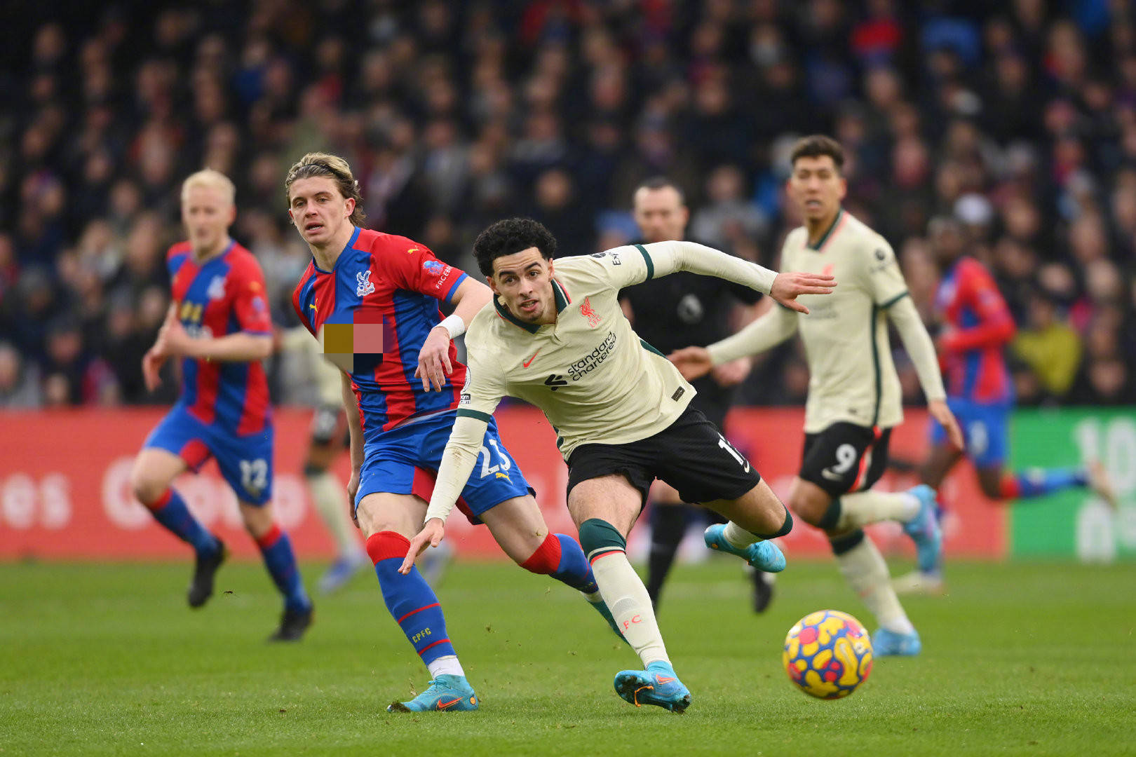 杯上都能有 杯上都能有